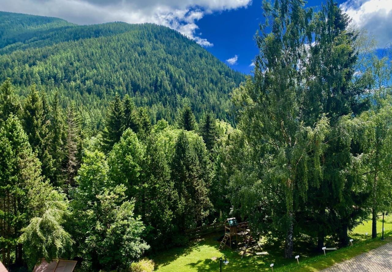 Panorama Rosie Design Chalet Bad Kleinkirchheim Luaran gambar